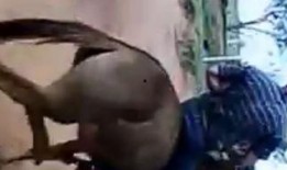 骡子在线观看,探寻古代丝绸之路的传奇故事